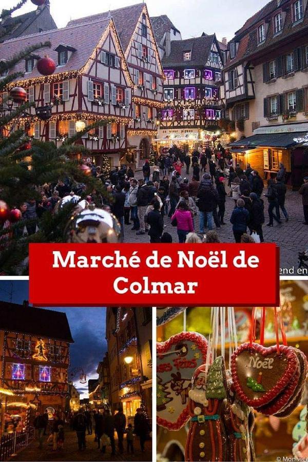 Aux Portes De Colmar Evasion Sur La Route Des Vins , A 5 Minutes De Colmar Ingersheim Exterior foto